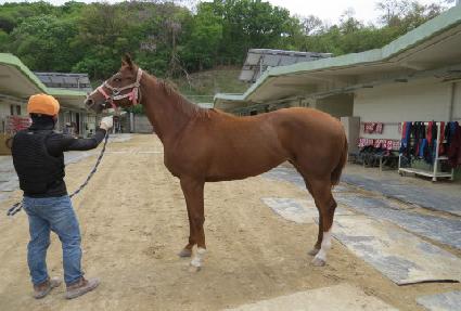 �Ŷ��Ǻ�� ����