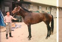 ���� (MAN BOK) ����