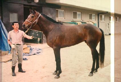 ���� ����