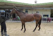 ���ݽǹ� (MANGEUM SILVER) ����