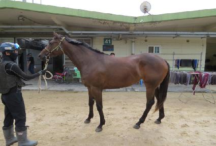 ���ݽǹ� ����