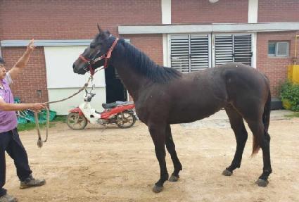 ŷ���� ����