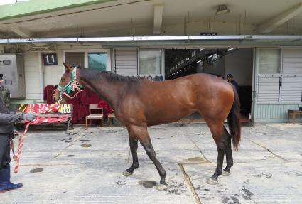 �������� ����