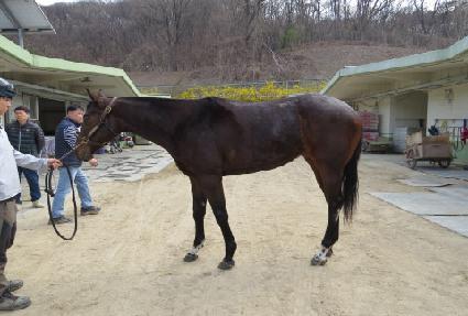 ��巹�� ����