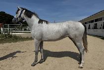 ����Ŭ���� (SEOGWI CLASS) ����