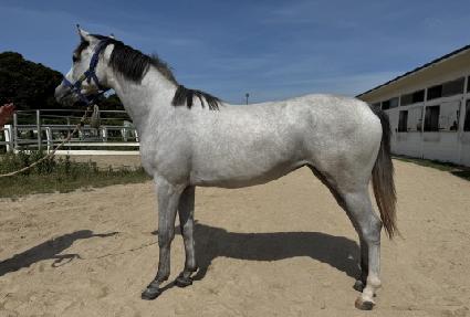 ����Ŭ���� ����