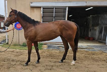 �̽��������� ����