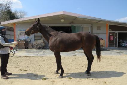 ����Ʈ������ ����