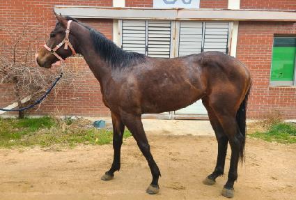 �������� ����