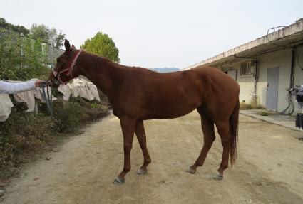 ���̿������� ����