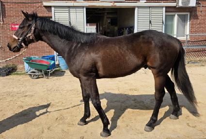 ���;��� ����