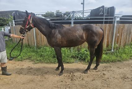 ����������Ʈ ����