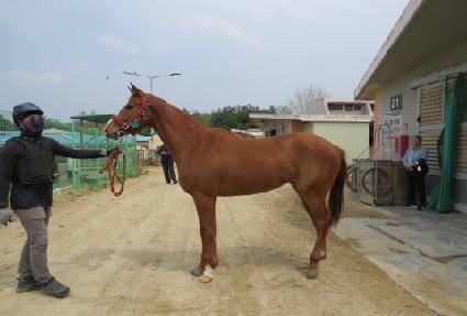 ġ����Ÿ ����