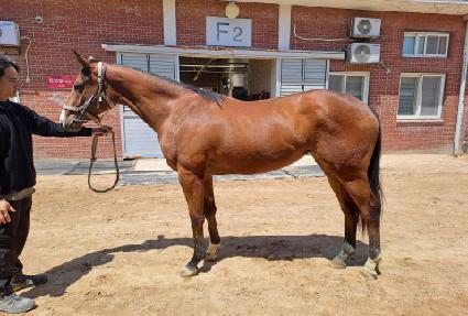 �����ǽſ� ����