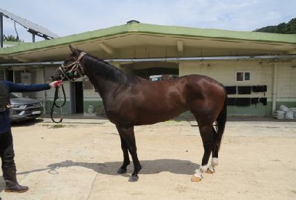 ����Ŭ���� ����