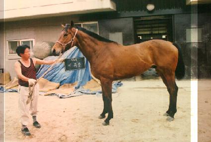 ���ֺ� ����