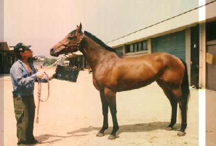 �ھ ����