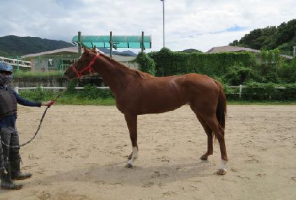 ����Ʈ��ũ ����