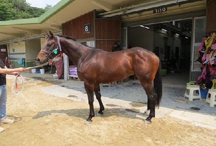 �ο����� ����