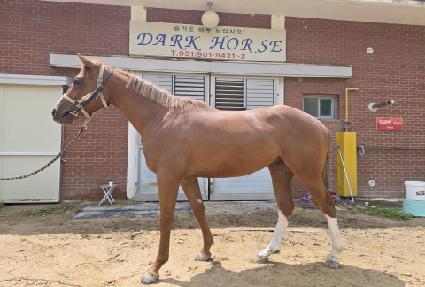 ��ƮƮ�� ����