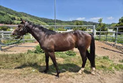 �ݾƳ��� ����