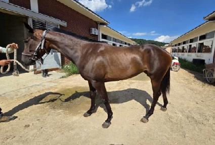 ����ƾ���ο� ����