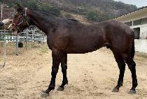 ŷȦ������ (KING HOLIDAY) ����