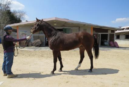 ��罺���� ����