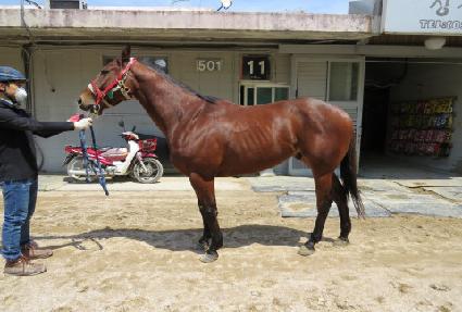 ĸ���� ����