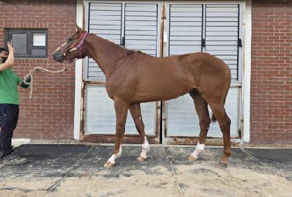 ��ī�Ϸ����� ����