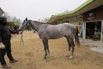 �Ŀ�����Ʈ (POWER BEST) ����