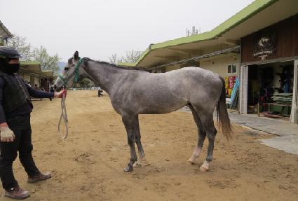 �Ŀ�����Ʈ ����