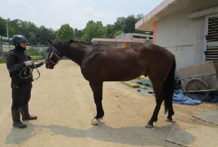 ��â������ ����