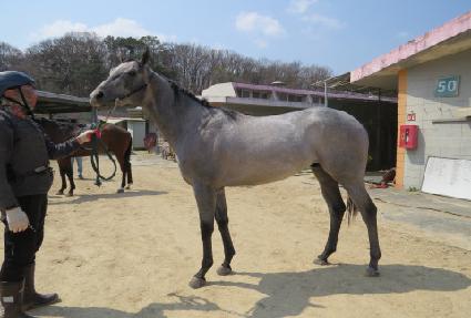 ���̾�Ʈ���� ����