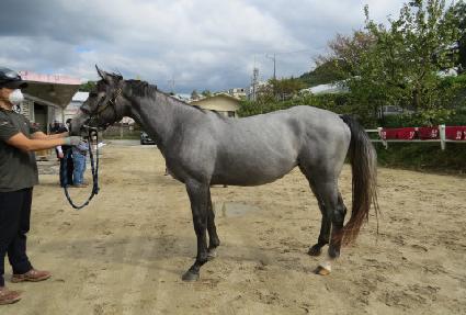 ȭ��Ʈ���� ����