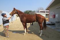 �ż���ġ (GEOSEN PUNCH) ����