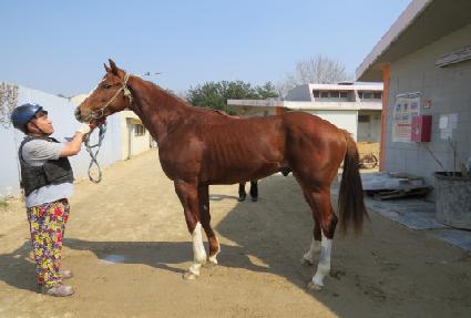 �ż���ġ ����