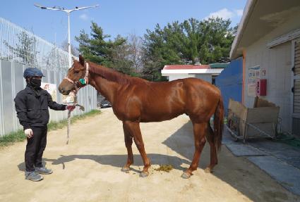 �۷ι�è�� ����