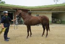 �������Դ� (HAPPY TOGETHER) ����