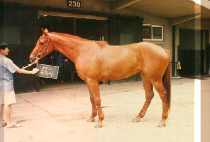 ��ȭ�� ����