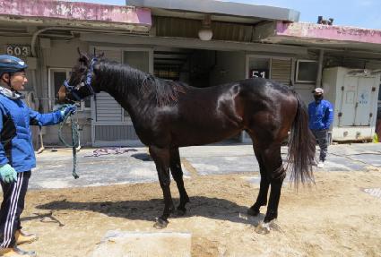 ���� ����