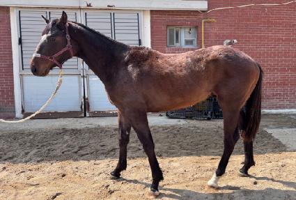 �ε������� ����