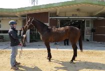 ���Ϲ��� (UNIVERSAL) ����