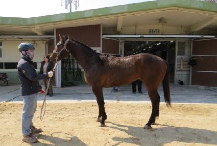 ���Ϲ��� ����