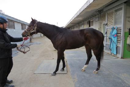 Ÿ�̰ŵ帲 ����