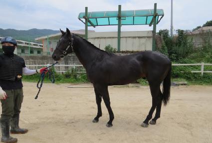 �䰡����ŷ ����