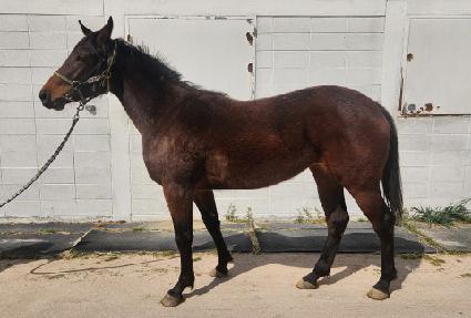 �����Ŭ�� ����