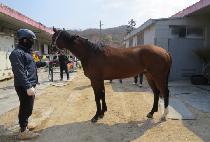 �ٳ�����Ÿ (DANAEUN STAR) ����