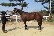 ����Ʈ��� (BEST URBANE) ����