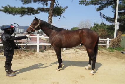 ����Ʈ��� ����